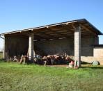 Vigone---Periferia---Casa-indipendente-sui-4-lati-con-giardino-privato-e-tettoia.