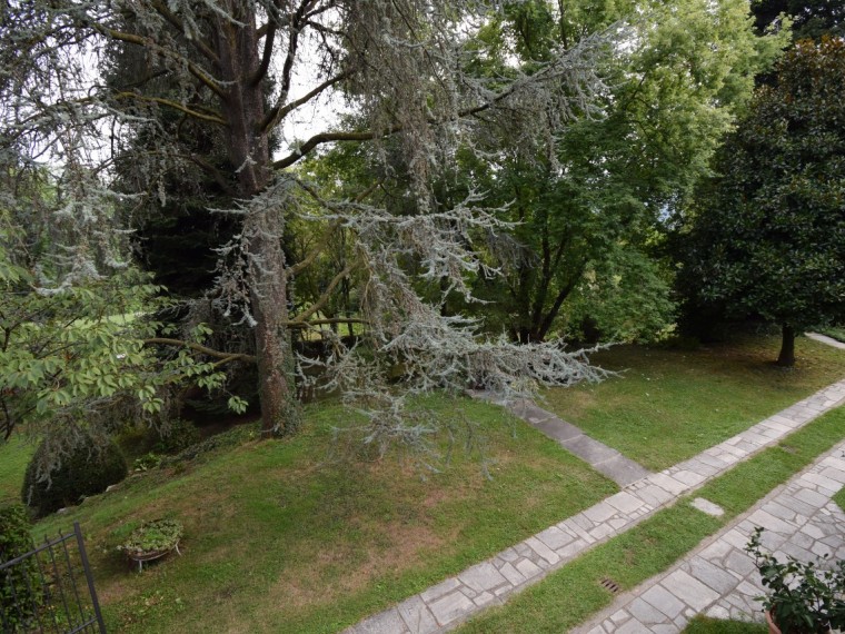 Pinerolo---Casa-bifamiliare-con-locali-accessori-e-parco-secolare