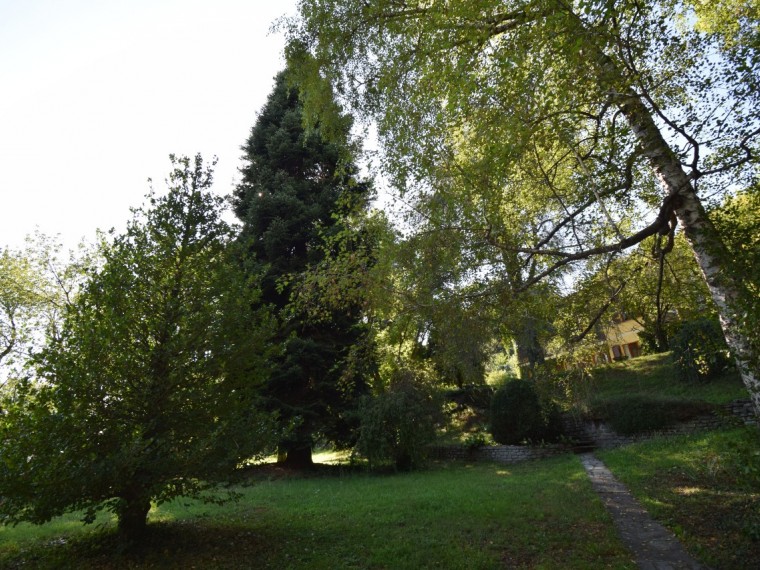 Pinerolo---Casa-bifamiliare-con-locali-accessori-e-parco-secolare