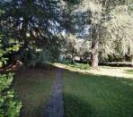 Pinerolo---Casa-bifamiliare-con-locali-accessori-e-parco-secolare