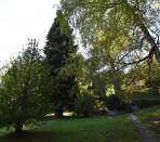 Pinerolo---Casa-bifamiliare-con-locali-accessori-e-parco-secolare