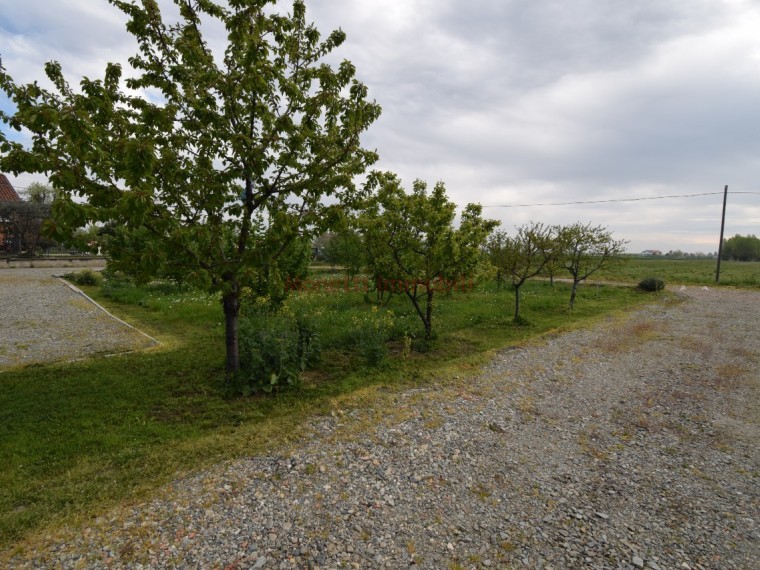 Pinerolo-Periferia-Cascinale-da-ristrutturare-con-cortile-e-ampio-giardino