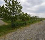Pinerolo-Periferia-Cascinale-da-ristrutturare-con-cortile-e-ampio-giardino
