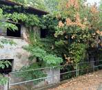 Piossasco---Rustico-in-centro-paese-con-parco-di-circa-5.000-mq.